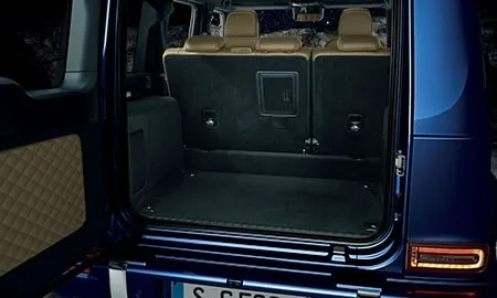 Mercedes Benz Gclass G450D LAUNCH EDITION (465310C / 465600C)