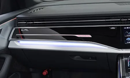 Audi Q8 55TFSI QUATTRO (F1DCBS)