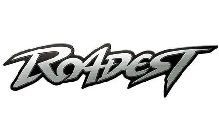 Mitsubishi Delica D5 ROADEST ROYAL TOURING (CV1W)