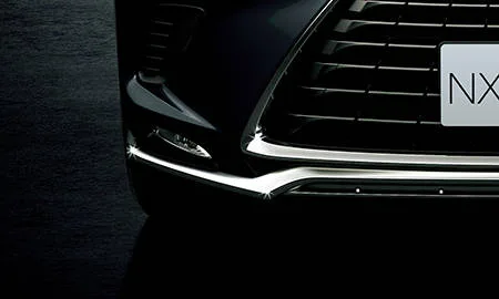 Lexus NX300H SPICE&CHIC (AYZ10)