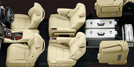 Toyota Alphard Hybrid X (AYH30W)