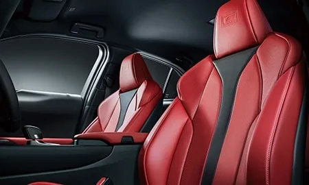 Lexus UX300H F SPORT (MZAH16)