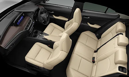 Lexus UX300E VERSION L (KMA10)