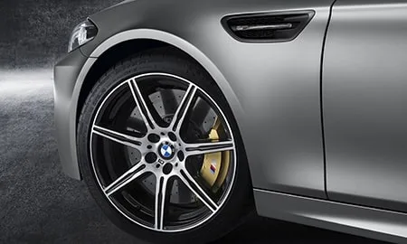 Bmw M5 30JAHRE (FV44M)