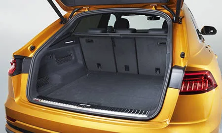 Audi Q8 55TFSI QUATTRO (F1DCBS)