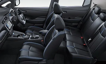 Nissan Leaf e+ G (ZE1)