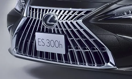 Lexus ES300H GRACEFUL ESCORT (AXZH11)