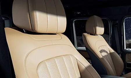 Mercedes Benz Gclass G450D LAUNCH EDITION (465310C / 465600C)