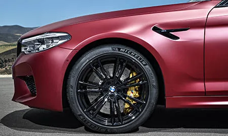 Bmw M5 FIRST EDITION (JF44M)