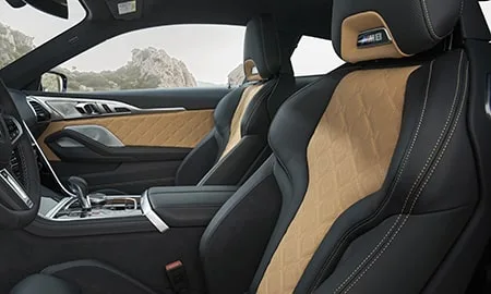 Bmw M8 COUPE COMPETITION (AE44M)