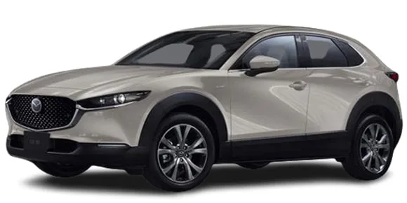 Mazda CX30 XD PROACTIVE TOURING SELECTION (DM8P)