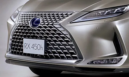 Lexus RX300 ELEGANT TOURER (AGL20W)