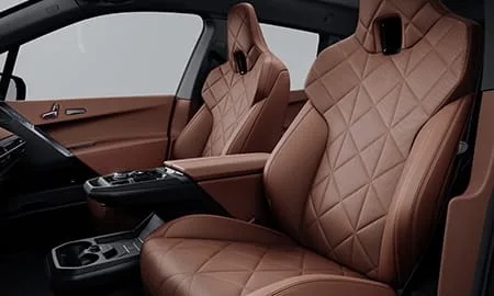 Bmw IX X DRIVE 60 M SPORT (22CF89A)