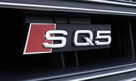 Audi SQ5 BASE GRADE (FYCWGS)