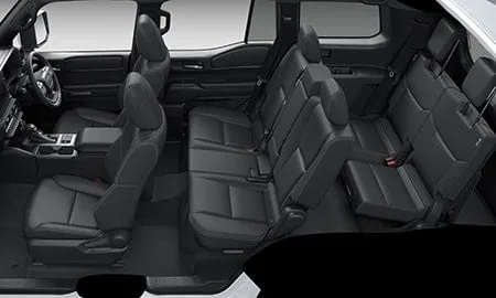 Toyota Land Cruiser 250 VX (TRJ250W)
