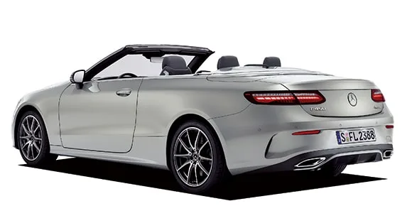 Eclass 238459 / 238483