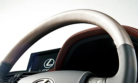 Lexus HS250H HARMONIOUS LEATHER INTERIORII (ANF10)