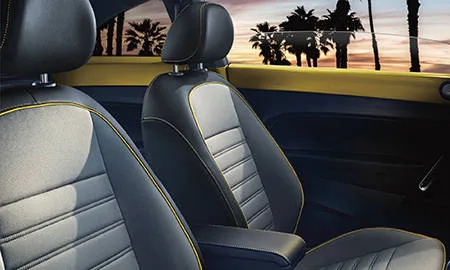 Volkswagen The Beetle DUNE (16CZDW)
