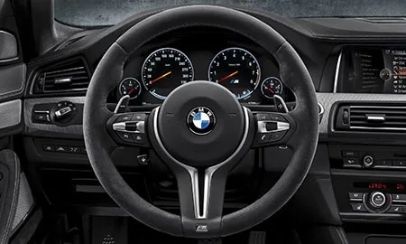 Bmw M5 30JAHRE (FV44M)