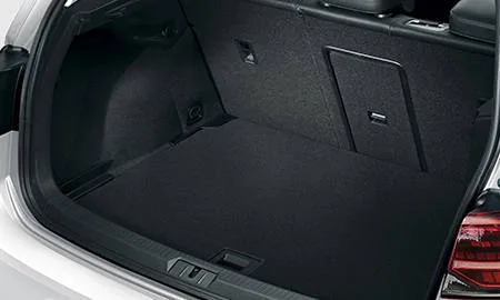 Volkswagen Egolf BASE GRADE (AUEAZ)