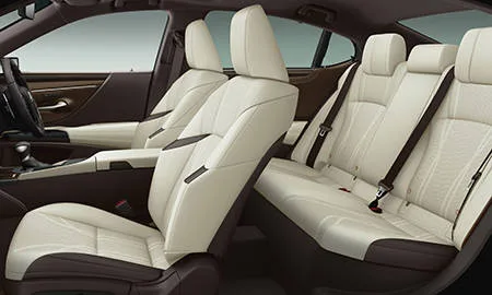 Lexus ES300H VERSION L (AXZH10)