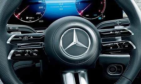 Mercedes Benz Gls 450D 4MATIC EDITION BLACK STARS (167933 / 167985)