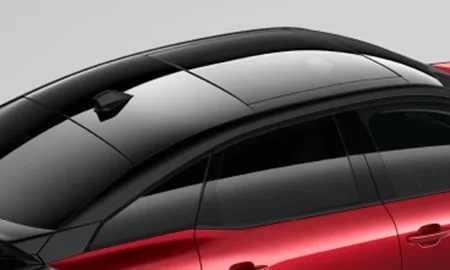 Citroen C4 MAX HYBRID EDITION LUMIERE (C41HN09)