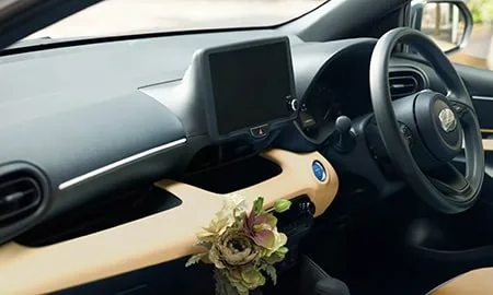 Mitsuoka Viewt Story ROYAL EDITION 15DX (MXPA10)