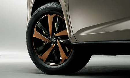 Lexus NX300 BRONZE EDITION (AGZ15)