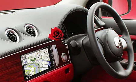 Mitsuoka Viewt ROUGE (K13)