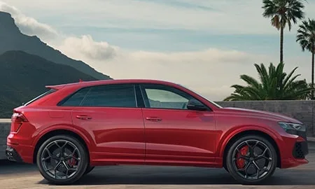 Audi RS Q8 Performance BASE GRADE (F1DHUA)