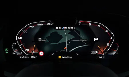 Bmw X6 X DRIVE 35D (GT30)