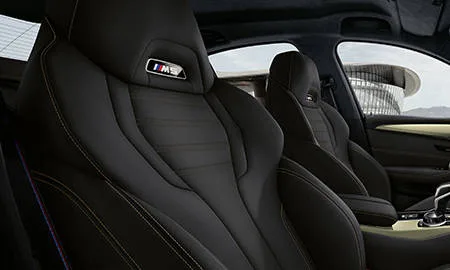 Bmw M5 35JAHRE EDITION (JF44M)
