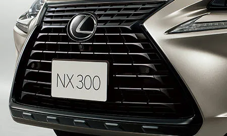 Lexus NX300 BRONZE EDITION (AGZ15)