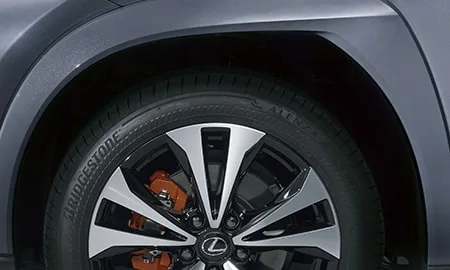 Lexus UX300H F SPORT EMOTIONAL EXPLORER (MZAH11)
