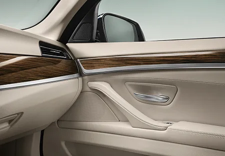 Bmw 5 Series 523D LUXURY (FW20 / FZ35)