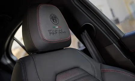 Alfa Romeo Giulia 2.0 TURBO TRIBUTO ITALIANO (95220 / 95229)