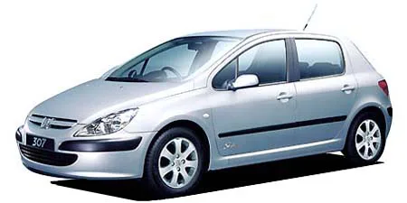 Peugeot 307 STYLE AVN PACKAGE (T5NFU)