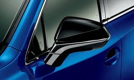 Lexus NX300H COOL&BRIGHT (AYZ15)