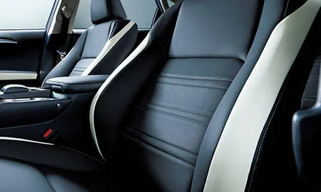 Lexus NX300H BLACK SEQUENCE (AYZ10)