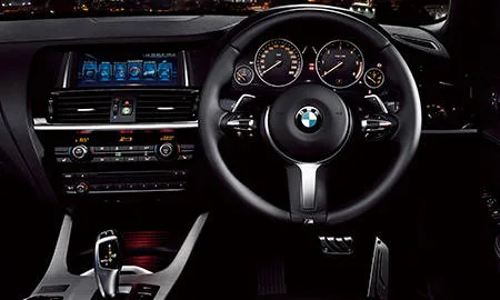 Bmw X3 BLACKOUT (WX20 / WY20)