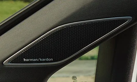 Volkswagen Golf ETSI R LINE PLATINUM EDITION (CDDFY / CDDLA)