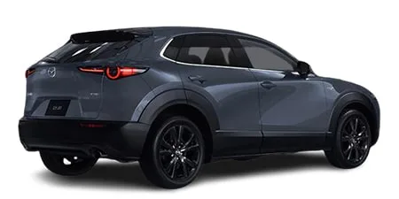 Mazda CX30 X BLACK TONE EDITION (DMFP)