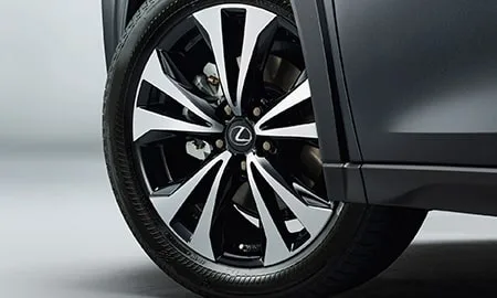 Lexus UX200 F SPORT STYLE BLUE (MZAA10)