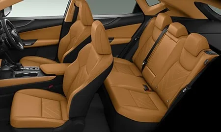 Lexus NX350H OVERTRAIL (AAZH25)