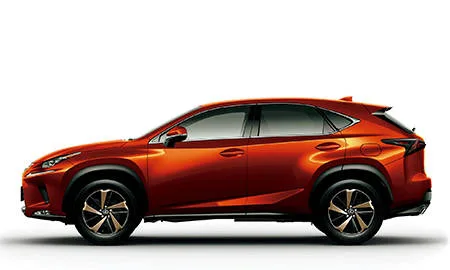 Lexus NX300H F SPORT (AYZ10)