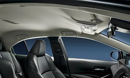 Toyota Corolla HYBRID WxB 50 MILLION EDITION (ZWE211)