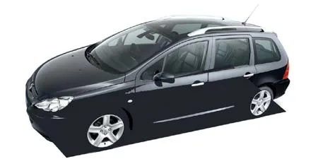 Peugeot 307 SW GRIFFE (3EHRFN)