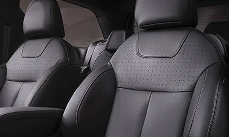 Citroen DS3 BLACK LEZARD (A5C5G01 / A5CHN01)