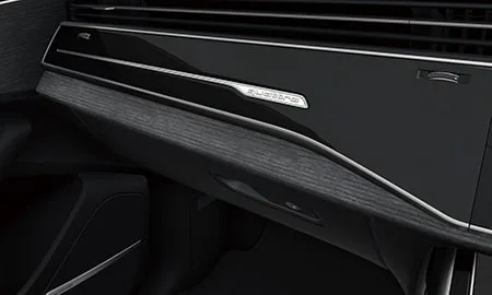 Audi Q8 BRONZE EDITION (F1CVMA / F1CVMS)